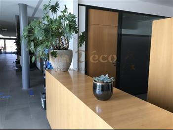 plante naturel pot design HOA DECO L'oreal Paris accueil comptoir caisse hall hotel