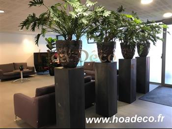 plante naturel pot design HOA DECO L'oreal Paris orchidee, succulente plante