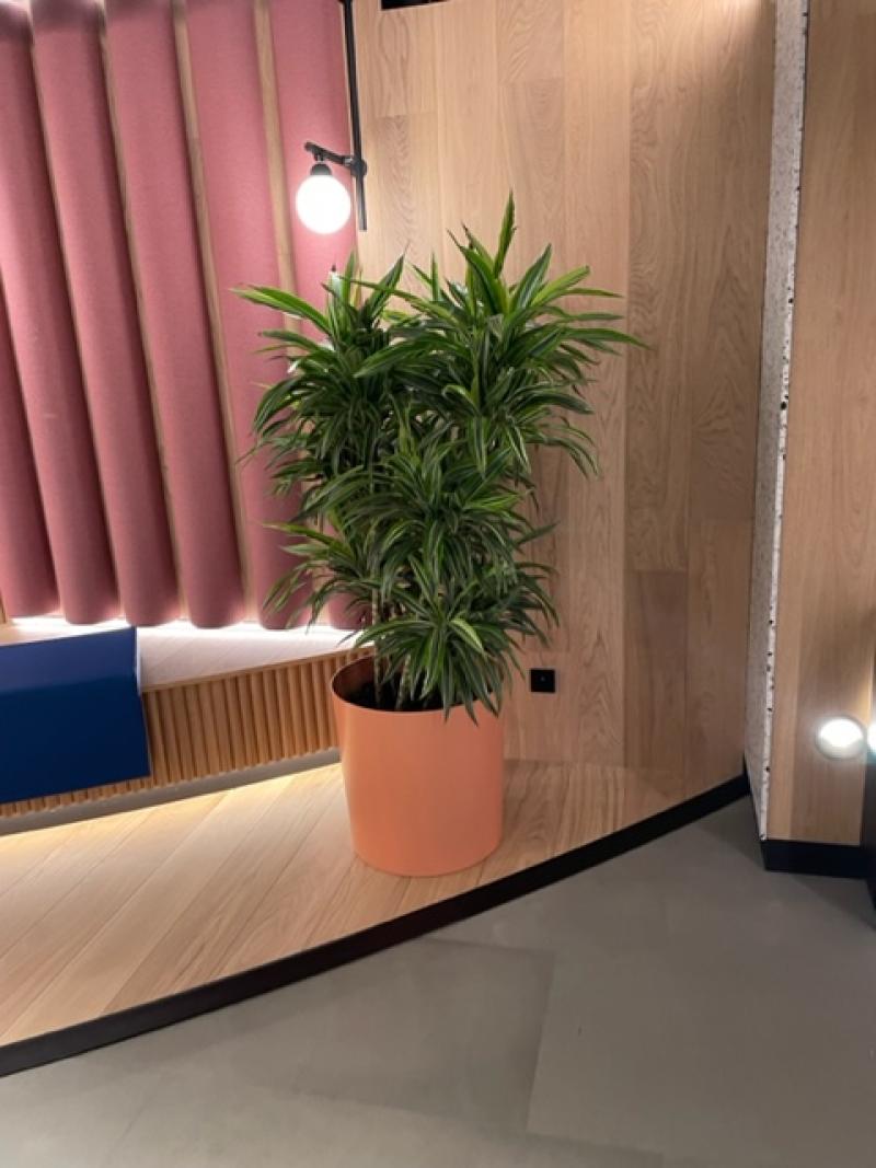 plante pot design l'oreal paris agencement interieur hoa deco