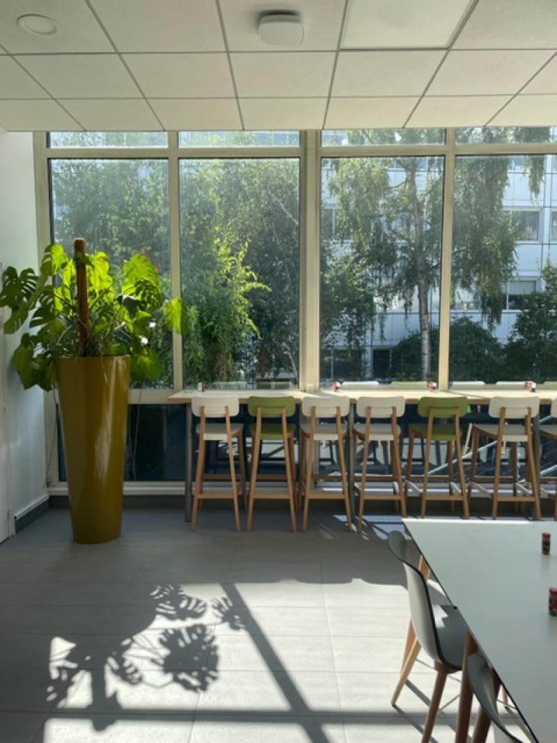 plante pot en hauteur design l'oreal paris agencement interieur hoa deco