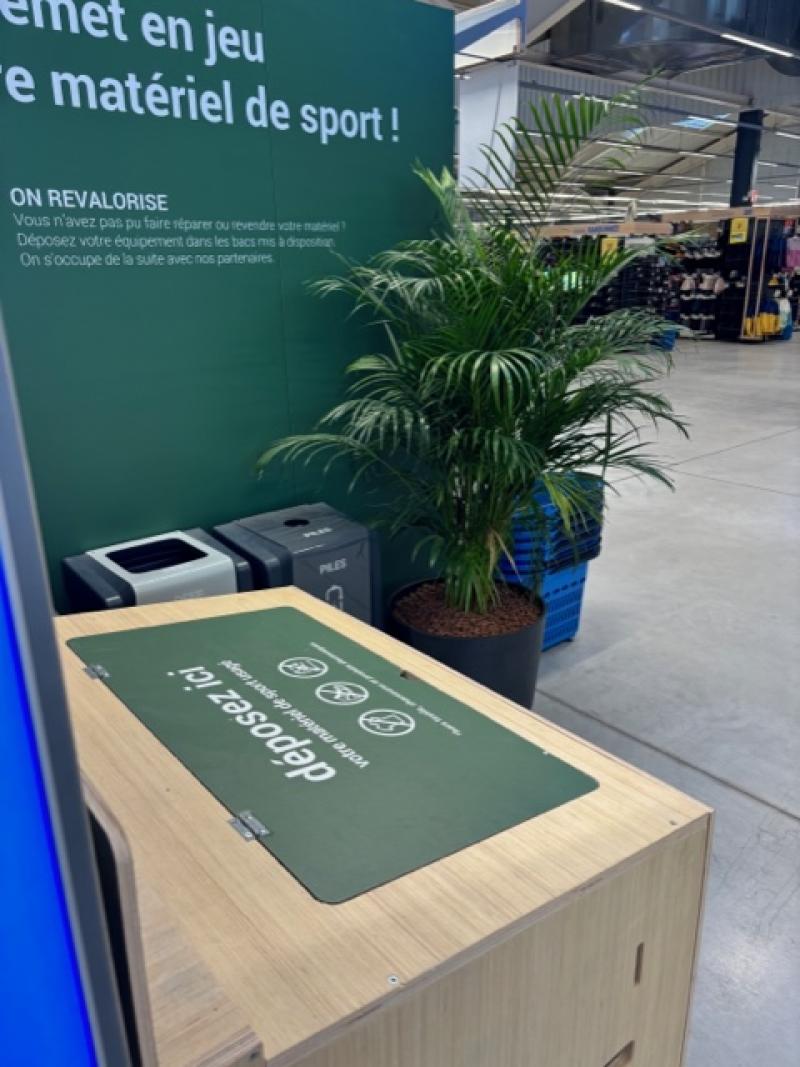plantes naturelles Decathlon st jouan by HOA DECO areca chamdoear