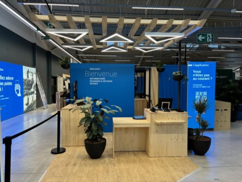 plantes naturelles Decathlon st jouan by HOA DECO areca chamdoera dracaena.calathea