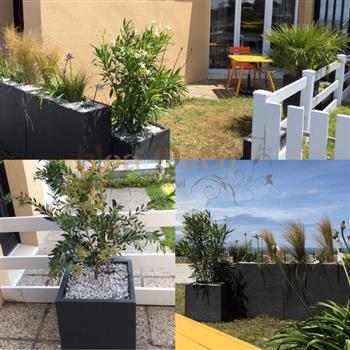 plantes naturelles exterieures Hoa Déco jardin bretagne mer soleil plage vacances green zen spirit attitude
