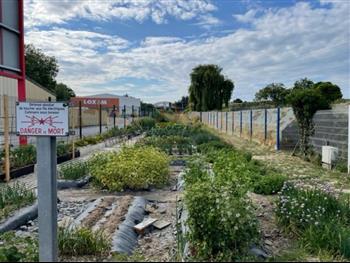 POTAGER jardininerie HOA DECO HYDRO ET CULTURE 17 ans déja attention DANGER permaculture BIO