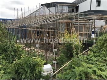 Potager showroom 2019 Hoa déco ruches abeilles poules menthes légumes permaculture BIO HOA DECO