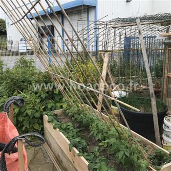 Potager showroom 2019 Hoa déco ruches abeilles poules menthes légumes permaculture BIO nature jardin palissage