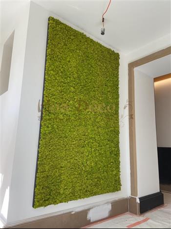 PPROJET SERENIS CONSULTING LABEL ETUDE HOA DECO MUR VEGETAL DESIGN LICHEN STABILISE RENNES GREEN ATTITUDE ZEN SPIRIT VEGETAL MUR VEGETAUX