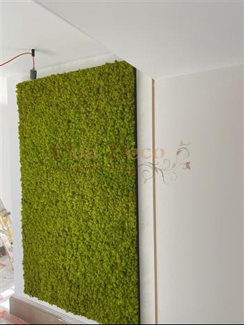 PPROJET SERENIS CONSULTING LABEL ETUDE HOA DECO MUR VEGETAL DESIGN LICHEN STABILISE RENNES GREEN ATTITUDE ZEN SPIRIT