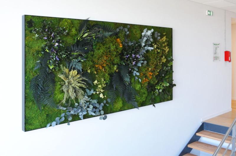 clair cadre rennes hoa deco mur vegetal