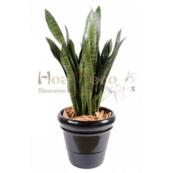 sansevieria-large-HOA DECO CACTUS ARTIFICIELLE