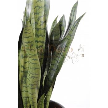 sansevieria-large-HOA DECO CACTUS ARTIFICIELLE