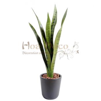 sansevieria-piquet-62 HOA DECO ARTIFICIELLE PLANTES HAUTE QUALITE