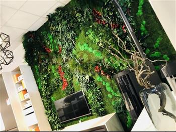schmidt showroom st malo realisation hydro et culture hoa deco murs stabilisé cuisine tendance 2020 gree nwall zen spirit
