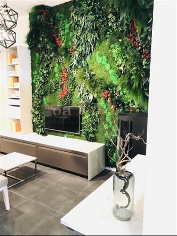 schmidt showroom st malo realisation hydro et culture hoa deco murs stabilisé cuisine tendance 2020 green
