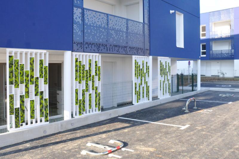 Mur végétal et plante stabilisée à Saint-Malo, Bretagne