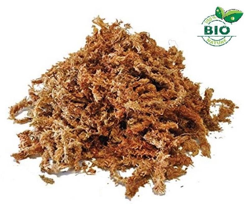 sphaigne bio vrac