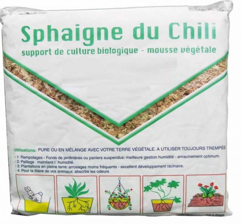 sphaigne chili premium HOA DECO