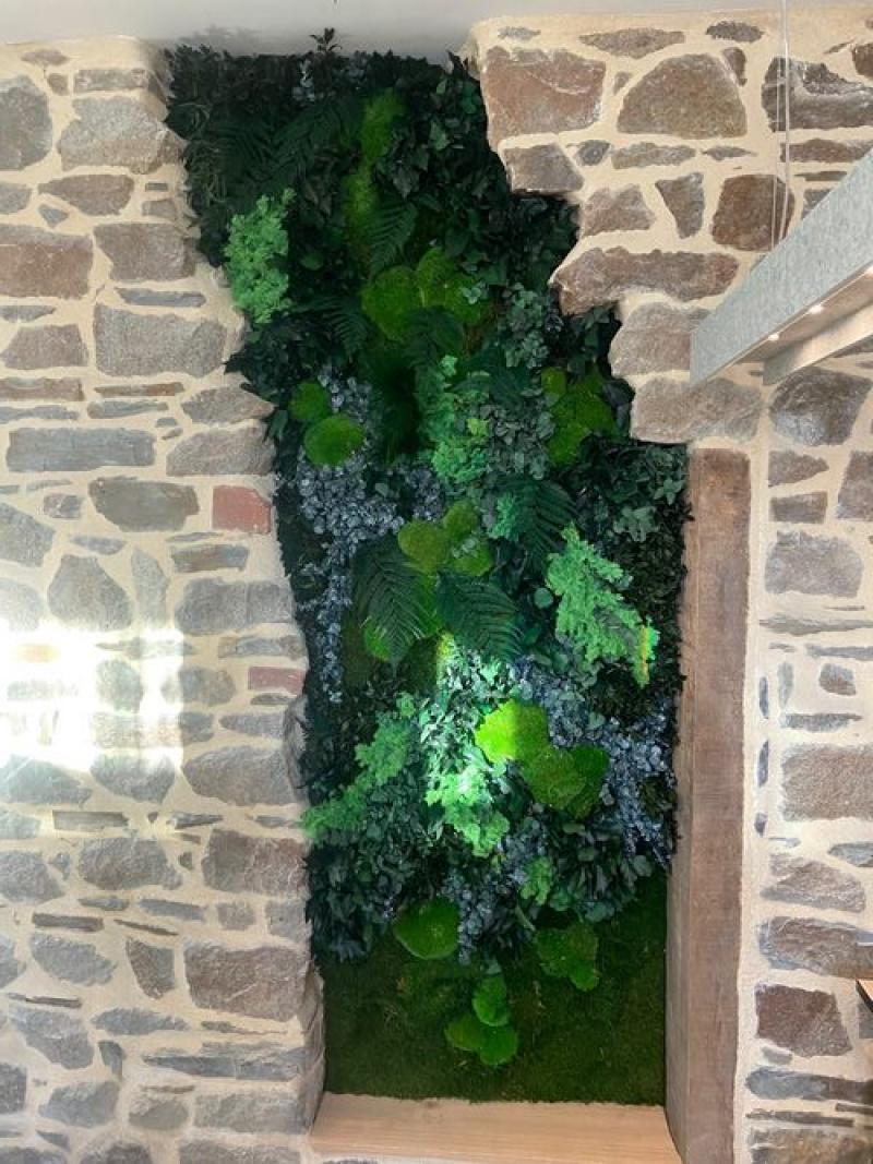 stabilisé green wall indoorspirit zen HOA DECO mur végétal enclavé encastré