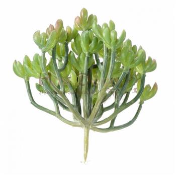 succulent 13 CADRES TABLEAUX MUR VEGETAL DESIGN HOA DECO ARTIFICIEL