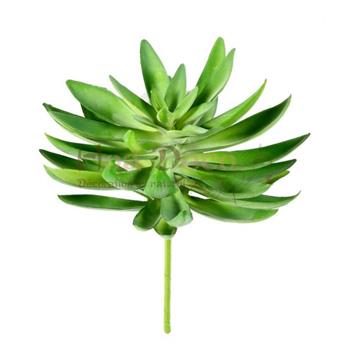 succulente-diam-16- HOA DECO CADRES TABLEAUX CREATIONS ARTIFICIELLES