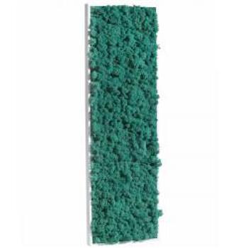 Tableau de Lichen Stabilisé Pacific Rectangle L 40x90 cm 