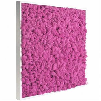 Tableau de Lichen Stabilisé Rose Fuchsia Carré XL 80x80 cm