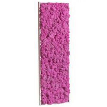 Tableau de Lichen Stabilisé Rose Fuchsia Rectangle L 40x90 cm