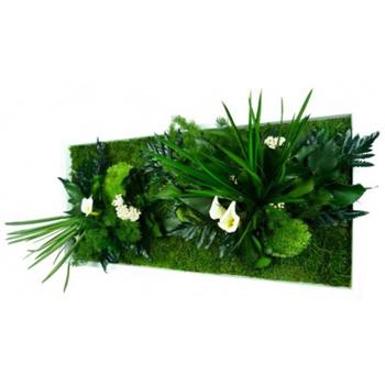 Cadre stabilisé sur mesure Hoa Déco designer 35 bzh green zen wall spirit calla fleurs stabilisées blanches