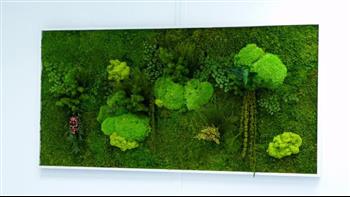 Cadre stabilisé sur mesure Hoa Déco designer 35 bzh green zen wall spirit mousses boules plates des bois