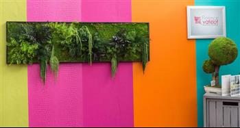Cadre stabilisé sur mesure Hoa Déco designer 35 bzh green zen wall spirit Florence Vatelot décoratrice