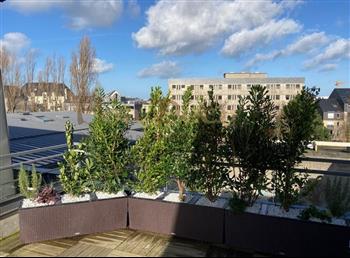 terrasse exterieur meditheque st malo jardin green jardiniere bac design HOA DECO decembre 2020