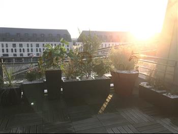 terrasse exterieur meditheque st malo jardin green wall jardiniere bac design HOA DECO decembre 2020