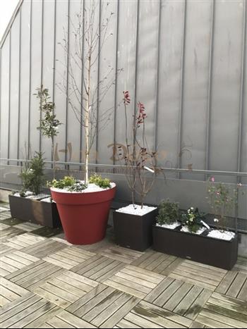 terrasse exterieur meditheque st malo jardin green wall jardiniere bac design HOA DECO st malo