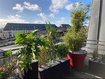 terrasse exterieur meditheque st malo jardin green wall jardiniere bac design HOA DECO Zen attitude