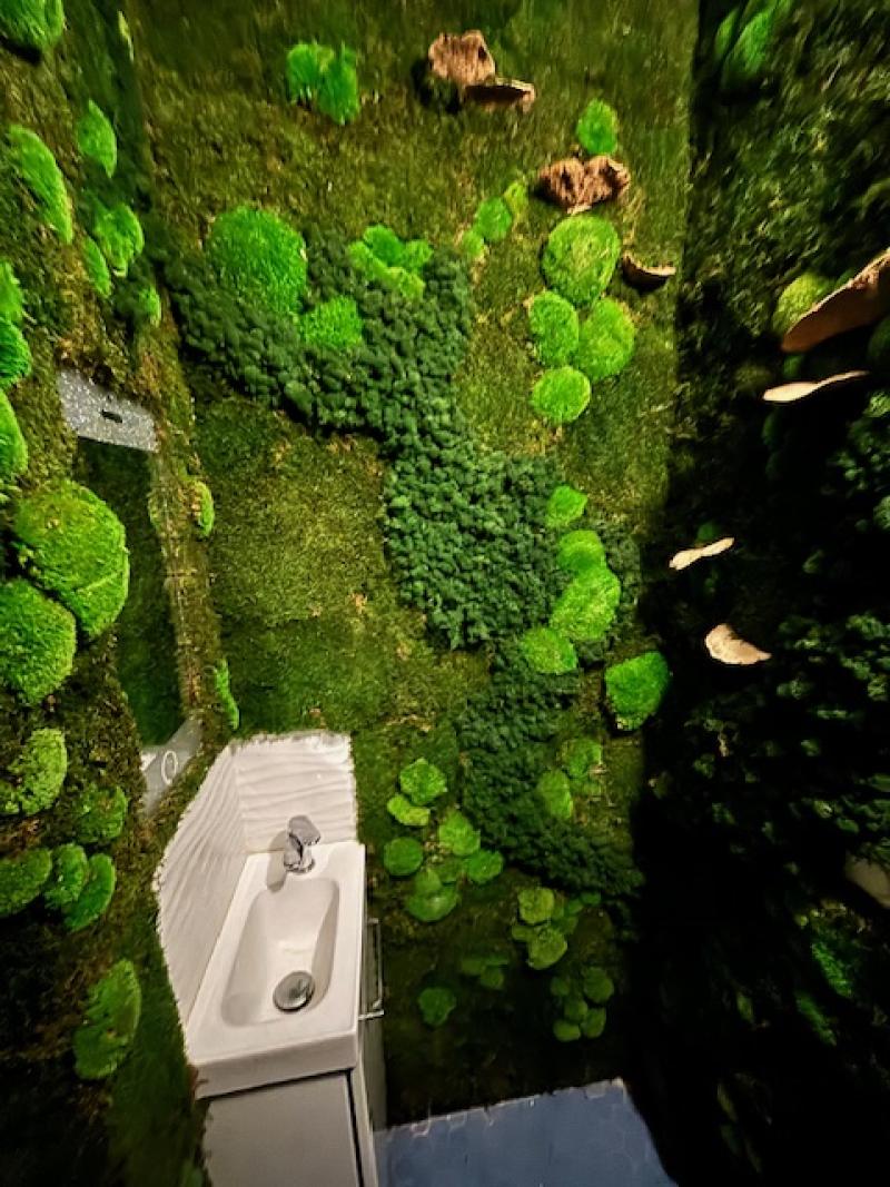 toilette wc vegetal stabilisé hoa déco green wall