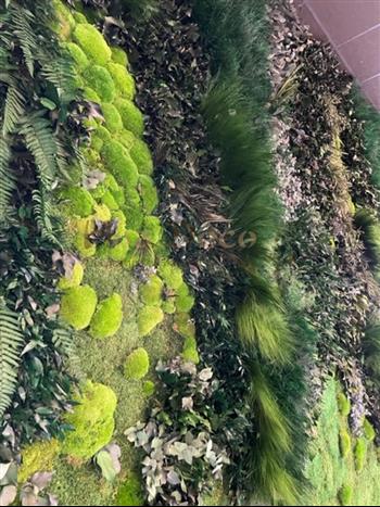 veroenca boulangerie mur stab 20 m2 hoa deco design mars 2022 green wall zen full végétaux stabilisé zoom