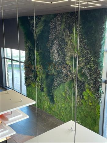 veroenca boulangerie mur végétal 20 m2 hoa deco design mars 2022 green wall zen full végétaux stabilisé