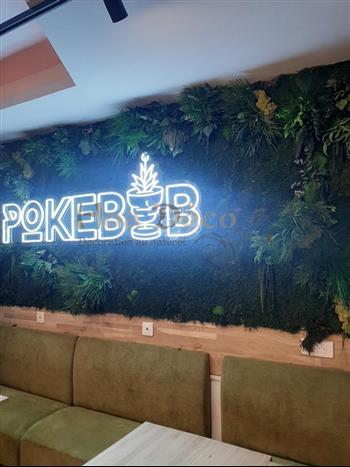 Vitrine-2-Pokebab hoa deco murs design logo vegetal green zen attitude spirit vert agencement interieur