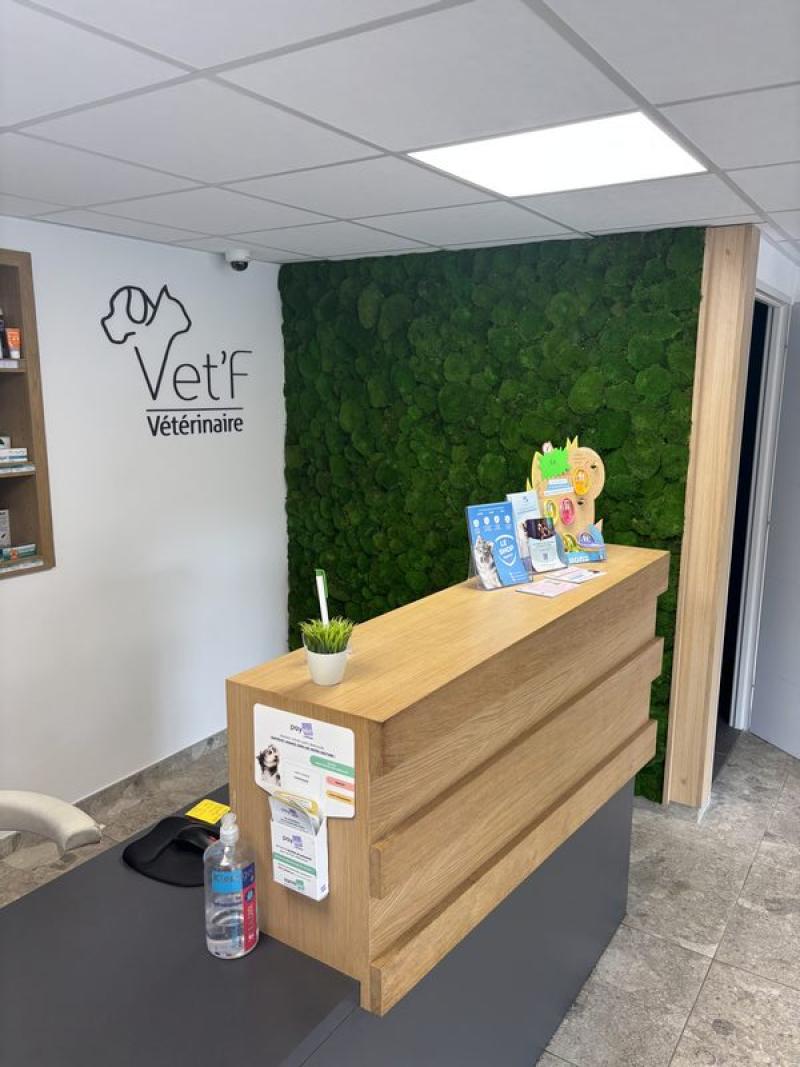 Vtef mur stabilisé mousses boules hoa deco clinique vétérinaire Oisse
