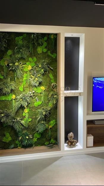watech green wall stabilisé HOA DECO 2022 design encastré nich mur végétal.