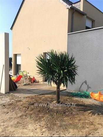 Yucca particulier saint pere design Hoa Déco